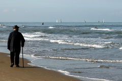 La moule à lèvres vertes a une importante action anti-inflammatoire.