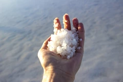 En cas de carence iodée, prendre de l’iode naturel pour permettre à la glande de jouer son rôle d’adaptation du métabolisme.