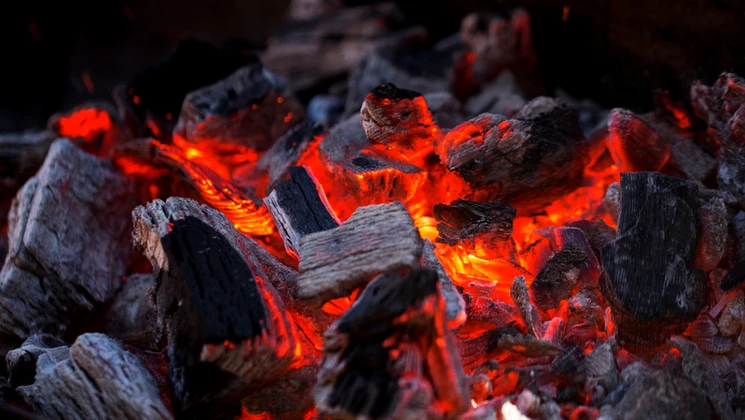 Du charbon pour éteindre le feu intestinal