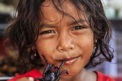 Plusieurs produits à base de farines d’insectes (pâtes alimentaires et barres chocolatées, entre autres) ont commencé à voir le jour.