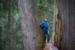 Quand la forêt nous soigne