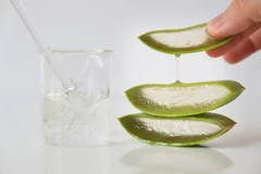 Le gel d'aloe vera, apaisant et anti-inflammatoire