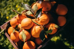 Les bienfaits de la vitamine C ne sont pas encore tous connus.