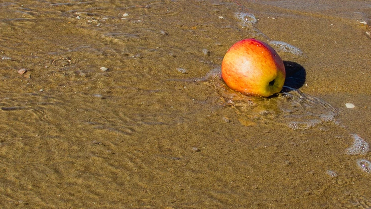 Assainir l'intestin avec un mélange d'eau de mer et de vinaigre de cidre